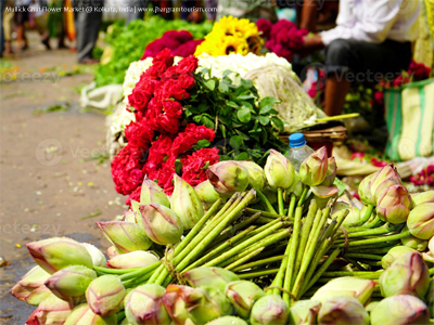 Mullick Ghat Flower Market Mullick Ghat Flower Market