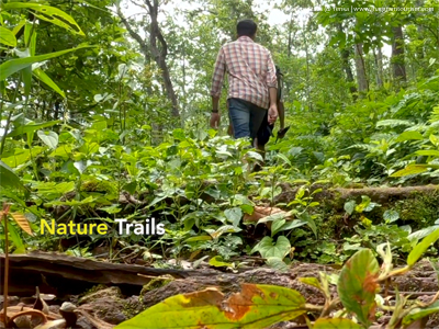 Nature Trail