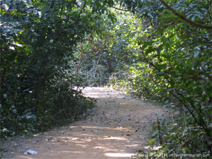 Chilkigarh Kanak Aranya