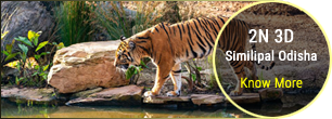 Similipal National Park