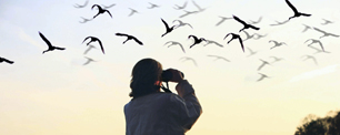 Birds Watching Binocular Binocular