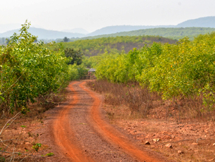 Kanaisor